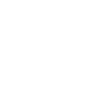 Duck racing